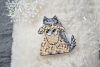 DSC_8136.thumb.JPG.9a679d955e714ae64dd5686d8a28da1d.JPG