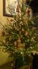 DSC_8535.thumb.JPG.eb716386cf554f091525cc142f4c6817.JPG