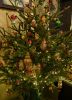 DSC_8539.thumb.JPG.4e451fafa109be7db78b1e93b338e5e7.JPG