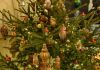 DSC_8542.thumb.JPG.626591055d7026c25606fe0d4f1cb634.JPG