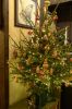 DSC_8546.thumb.JPG.066fa862cc0e905a675183ba450a3c5b.JPG
