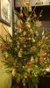 DSC_8548.thumb.JPG.569b62b31feda118a4e6a328af7bd378.JPG