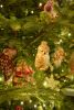 DSC_8560.thumb.JPG.f53ce9e9c51c96b958f79e4ca330337c.JPG