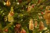DSC_8562.thumb.JPG.6a0567fa7e4cd45157c11210c4ade4df.JPG