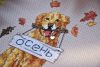 DSC_8928.thumb.JPG.5204dbe2a7ef0ddeca7c04ddd66792a6.JPG