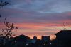 DSC_9494-2.thumb.JPG.6536e8783de118e41f63afd74b9a6a78.JPG