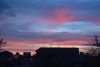 DSC_9497-2.thumb.JPG.3b2b5fc8f742648368c00273676b07af.JPG