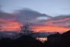 DSC_9501-2.thumb.JPG.87a157e5965fa1833c5bad9f149784a6.JPG