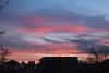 DSC_9503-2.thumb.JPG.4447071b9f5e18d7f986229ee67b7fda.JPG