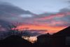 DSC_9507-2.thumb.JPG.6b8c89b47dc25db7b2d0335a2518bea5.JPG