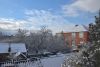 DSC_9510-2.thumb.JPG.66e079f1129b3b4ae42cd4cbdb0a4d63.JPG