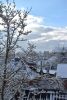 DSC_9511-2.thumb.JPG.e1fde1fceb6e76666b9a61c2dd73e745.JPG