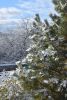 DSC_9513-2.thumb.JPG.c313cee45d2f48c9857b838f1047e755.JPG