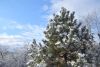 DSC_9514-2.thumb.JPG.42e723db16c55357e1e0b49e7b1e6113.JPG