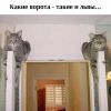 GUbUEPQ1UlkAQt_ri2GzjwdkR3zMIVyvYGP9q6o1u45FGAwnvcMQlpbrcGfPW3eRPiuWQZplTxUfzHR3uCgOms03.thumb.jpg.e1494b074ecd47e6f2930e5953a35519.jpg