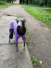 IMG-20180925-WA0007.thumb.jpg.46e1dab5b2621a73042f149cfc5a252c.jpg