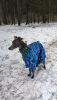 IMG-20250219-WA0035.thumb.jpg.7f237c870cfdb33ae6fe6260d9f13769.jpg