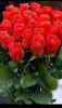 IMG-20251206-WA0011.thumb.jpg.17273ec5b3f9e8bb2232f1efbbe1af6b.jpg