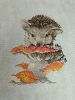 IMG20251205202721.thumb.jpg.1357ffcf959151afc2e9d67664d32e48.jpg