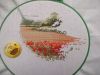 IMG20251228151159.thumb.jpg.a8720fbe0cccd581cb6c7e0a22323a87.jpg