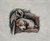 IMG_0475.jpeg