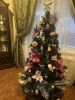 IMG_1529.jpeg