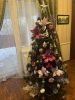 IMG_1532.jpeg