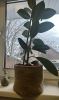 IMG_1546.jpeg