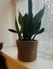 IMG_1552.jpeg