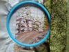 IMG_20250903_110221.thumb.jpg.9d43627899b6d5de63a4af70e37deb5d.jpg