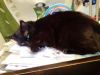 IMG_20251125_014218.thumb.jpg.ffbe5d95f464f48d258f0bb74445944f.jpg