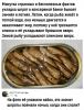 IMG_20251202_112303.thumb.jpg.21cda9895f6af08b72c5b26585b359a7.jpg