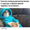 IMG_20251202_112731.thumb.jpg.65164cac8679afb8642d4b6997a95920.jpg