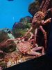 IMG_20251202_143816.thumb.jpg.09250bf2070906dc3a0e639a69a06a8e.jpg