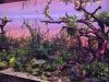 IMG_20251202_144237.thumb.jpg.67d66a9ffb0d03419215099946c0e2a9.jpg
