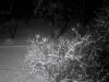 IMG_20251210_041400.thumb.jpg.24c21f64167b07c38dc00b98b3bbc0f2.jpg