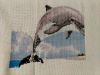 IMG_20251222_154711.thumb.jpg.a1f2247c1cd8b38dac73fc384c7d9d68.jpg