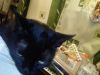 IMG_20251227_205959.thumb.jpg.e9b94ddfe357928f70fee561c2c78dd9.jpg