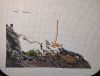 IMG_20251228_075140.thumb.jpg.4555c727cb84cef8ee7db81cb49a4c18.jpg