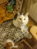 IMG_20251228_183745.thumb.jpg.02a46f7139ec1bb6739eae79265bc51a.jpg