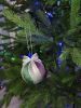 IMG_20251228_201251_366.thumb.jpg.73c859c0d6876652c1d42a0c8e44431a.jpg