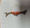 IMG_20251229_200816.thumb.jpg.6d4becc2c7dfe8444efb7712bfce5100.jpg