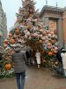 IMG_2058.thumb.jpeg.a7a3747dd58fee60ede219dcfb8569de.jpeg