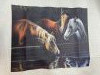 IMG_2989.thumb.jpeg.3b080e8f299f9516c302bec72606b05d.jpeg?1766762991555