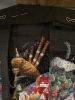 IMG_3900.thumb.jpeg.976ee527b86c3b44d5749ff5cfa923a5.jpeg