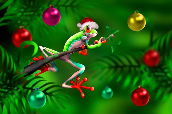 Аватар makalicha1970