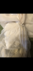 IMG_6758.thumb.png.55911afeebfff534f727d1bed8dc8320.png