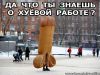em4tmbRqv8w.thumb.jpg.7856e7f7fa0360b8a3b381fe2062cf75.jpg