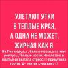 fotoprikol-10112017-063.thumb.jpg.6b963974db00baa1b80649764b49c902.jpg