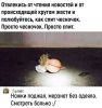 h-140.thumb.jpg.9fbb8323be8b2e351d57f2ed3b2b3da3.jpg